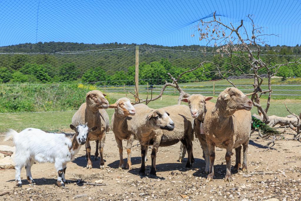 Lou Mas Li Pitchoun "Le Luberon " Villa Gordes Buitenkant foto