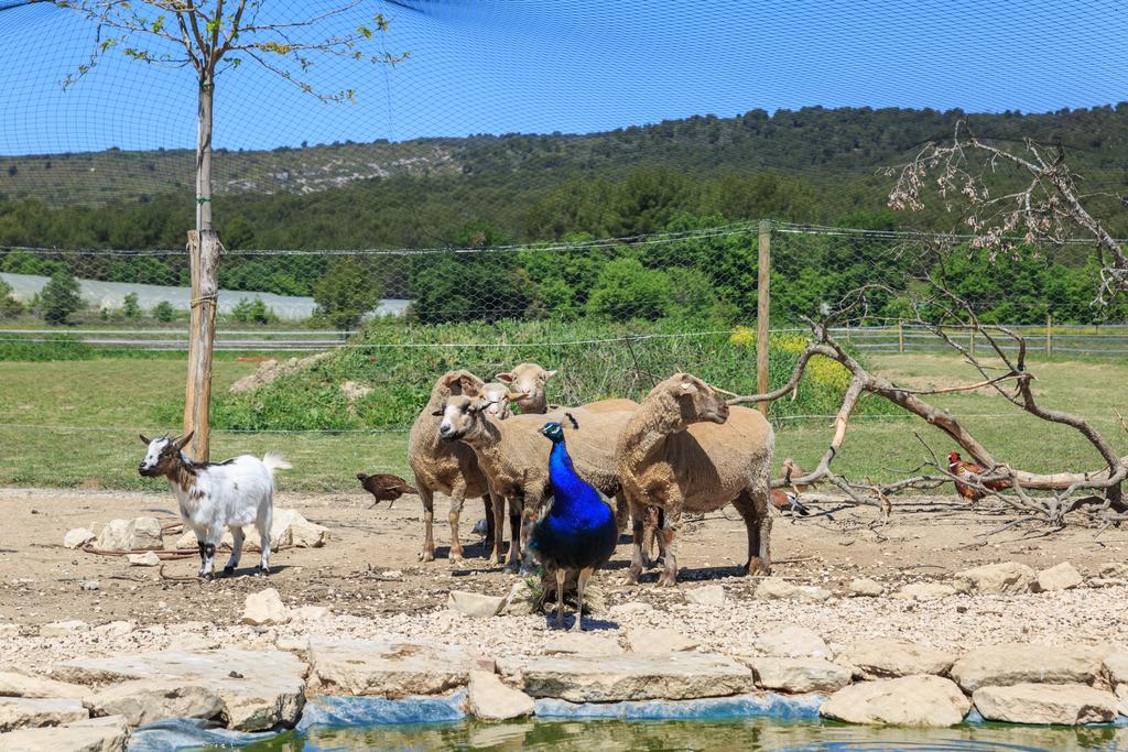 Lou Mas Li Pitchoun "Le Luberon " Villa Gordes Buitenkant foto