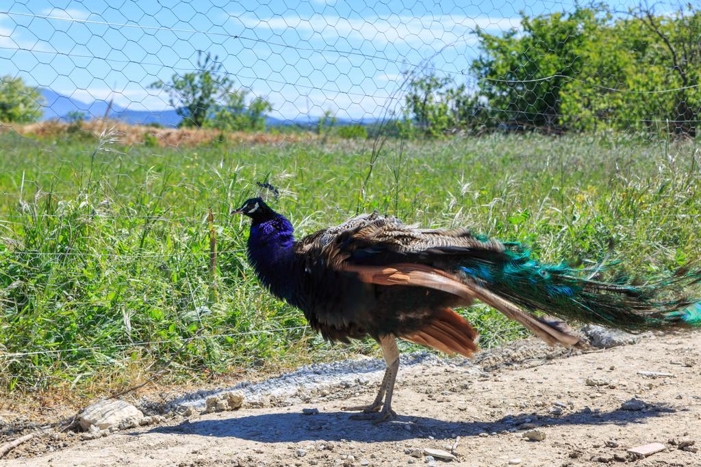 Lou Mas Li Pitchoun "Le Luberon " Villa Gordes Buitenkant foto